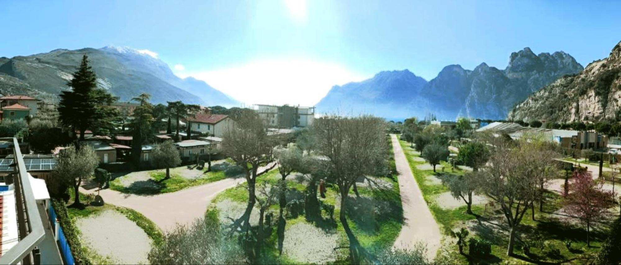 Angelini